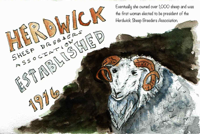 Eventually she owned over 1000 sheep and was teh first woman elected to be president of the Herdwick Sheep Breeders Association.