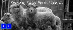 Romney Ridge Farm