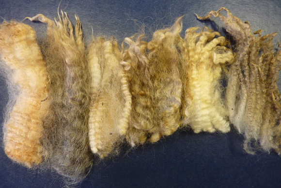 https://knitty.com/ISSUEfall09/images/longwool3.jpg