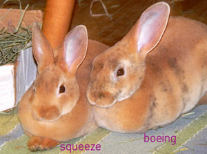 Squeeze and Boeing